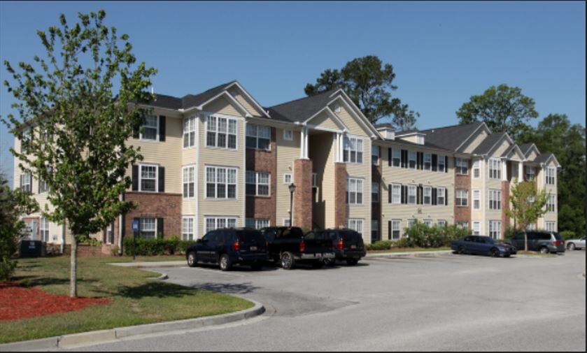 Palm trees at Ashley River Apartments